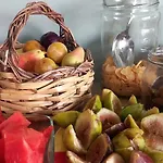 Frühstückspension Donna Ca' Tropea